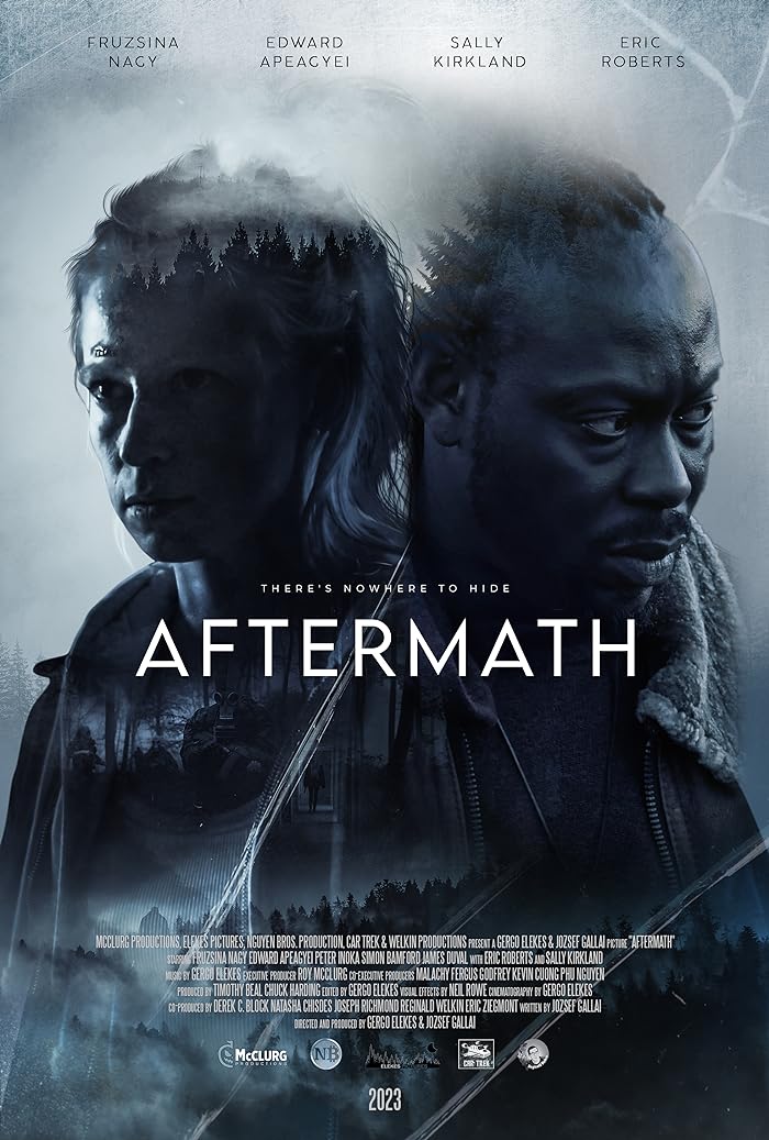 مشاهدة فيلم Aftermath 2024 مترجم اون لاين